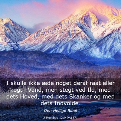Picture 03 - 2 Mosebog 12:9 DA1871 - I skulle ikke æde noget deraf raat eller kogt i - Bible Verse Picture