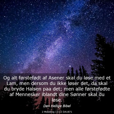 Picture 03 - 2 Mosebog 13:13 DA1871 - Og alt førstefødt af Asener skal du løse med - Bible Verse Picture
