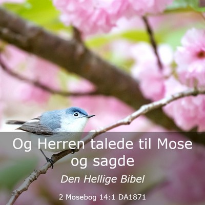 Picture 03 - 2 Mosebog 14:1 DA1871 - Og Herren talede til Mose og - Bible Verse Picture