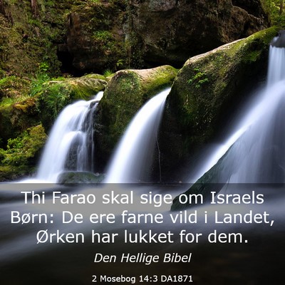 Picture 03 - 2 Mosebog 14:3 DA1871 - Thi Farao skal sige om Israels Børn: De ere - Bible Verse Picture