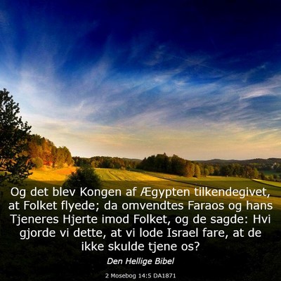 Picture 03 - 2 Mosebog 14:5 DA1871 - Og det blev Kongen af Ægypten tilkendegivet, at - Bible Verse Picture