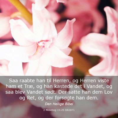 Picture 03 - 2 Mosebog 15:25 DA1871 - Saa raabte han til Herren, og Herren viste ham et - Bible Verse Picture