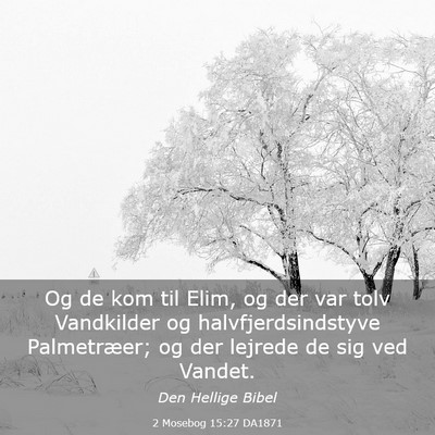 Picture 03 - 2 Mosebog 15:27 DA1871 - Og de kom til Elim, og der var tolv Vandkilder og - Bible Verse Picture