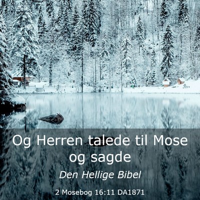 Picture 03 - 2 Mosebog 16:11 DA1871 - Og Herren talede til Mose og - Bible Verse Picture