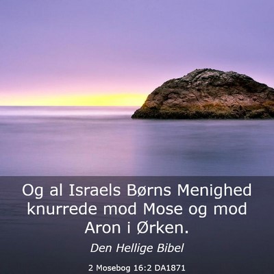 Picture 03 - 2 Mosebog 16:2 DA1871 - Og al Israels Børns Menighed knurrede mod Mose - Bible Verse Picture