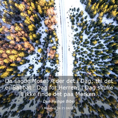 Picture 03 - 2 Mosebog 16:25 DA1871 - Da sagde Mose: Æder det i Dag; thi det er Sabbat - Bible Verse Picture