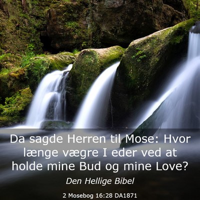 Picture 03 - 2 Mosebog 16:28 DA1871 - Da sagde Herren til Mose: Hvor længe vægre I - Bible Verse Picture