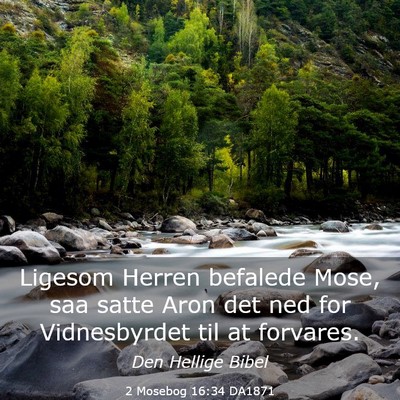 Picture 03 - 2 Mosebog 16:34 DA1871 - Ligesom Herren befalede Mose, saa satte Aron det - Bible Verse Picture