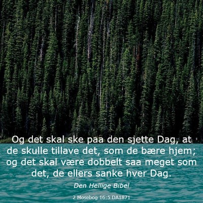 Picture 03 - 2 Mosebog 16:5 DA1871 - Og det skal ske paa den sjette Dag, at de skulle - Bible Verse Picture