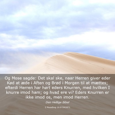 Picture 03 - 2 Mosebog 16:8 DA1871 - Og Mose sagde: Det skal ske, naar Herren giver - Bible Verse Picture