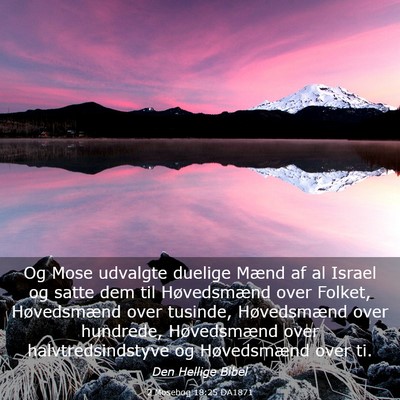 Picture 03 - 2 Mosebog 18:25 DA1871 - Og Mose udvalgte duelige Mænd af al Israel og - Bible Verse Picture