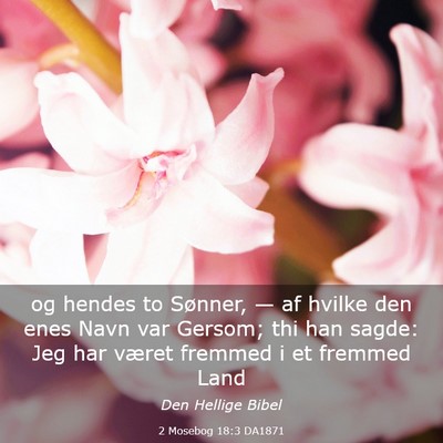 Picture 03 - 2 Mosebog 18:3 DA1871 - og hendes to Sønner, — af hvilke den enes Navn - Bible Verse Picture