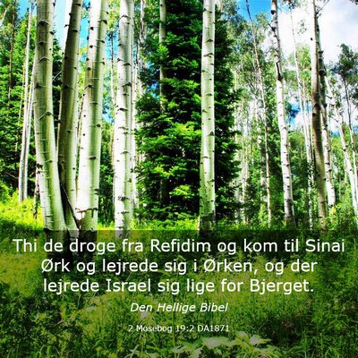 Picture 03 - 2 Mosebog 19:2 DA1871 - Thi de droge fra Refidim og kom til Sinai Ørk og - Bible Verse Picture
