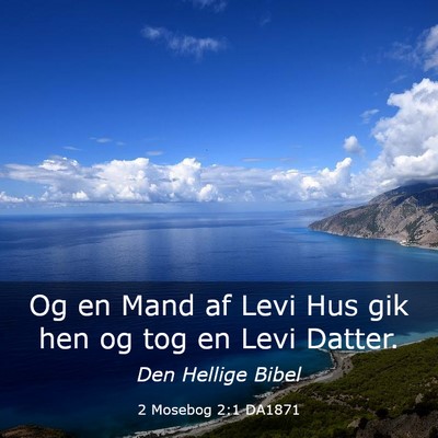 Picture 03 - 2 Mosebog 2:1 DA1871 - Og en Mand af Levi Hus gik hen og tog en Levi - Bible Verse Picture