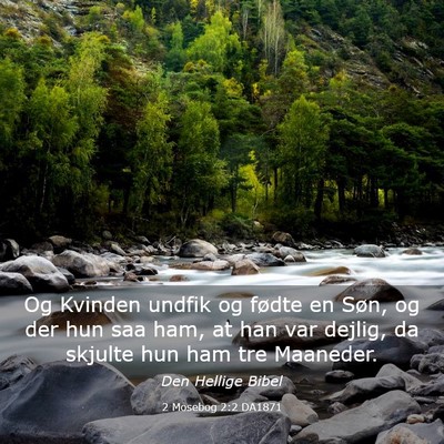 Picture 03 - 2 Mosebog 2:2 DA1871 - Og Kvinden undfik og fødte en Søn, og der hun - Bible Verse Picture