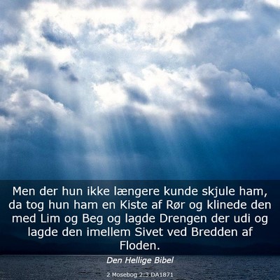 Picture 03 - 2 Mosebog 2:3 DA1871 - Men der hun ikke længere kunde skjule ham, da - Bible Verse Picture