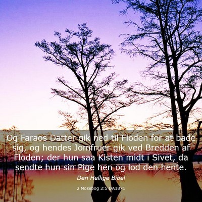 Picture 03 - 2 Mosebog 2:5 DA1871 - Og Faraos Datter gik ned til Floden for at bade - Bible Verse Picture