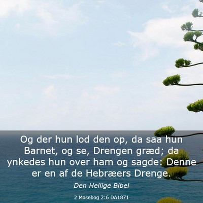 Picture 03 - 2 Mosebog 2:6 DA1871 - Og der hun lod den op, da saa hun Barnet, og se, - Bible Verse Picture