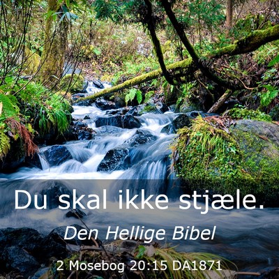 Picture 03 - 2 Mosebog 20:15 DA1871 - Du skal ikke - Bible Verse Picture