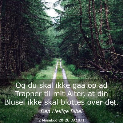 Picture 03 - 2 Mosebog 20:26 DA1871 - Og du skal ikke gaa op ad Trapper til mit Alter, - Bible Verse Picture