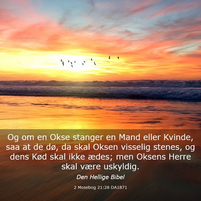 Picture 03 - 2 Mosebog 21:28 DA1871 - Og om en Okse stanger en Mand eller Kvinde, saa - Bible Verse Picture