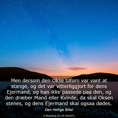 Picture 03 - 2 Mosebog 21:29 DA1871 - Men dersom den Okse tilforn var vant at stange, - Bible Verse Picture