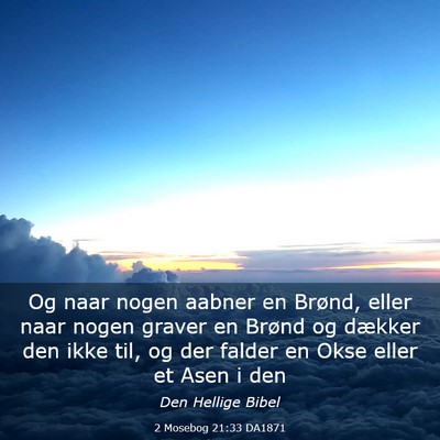 Picture 03 - 2 Mosebog 21:33 DA1871 - Og naar nogen aabner en Brønd, eller naar nogen - Bible Verse Picture