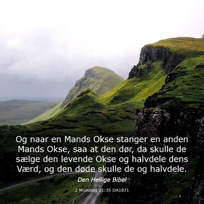 Picture 03 - 2 Mosebog 21:35 DA1871 - Og naar en Mands Okse stanger en anden Mands - Bible Verse Picture