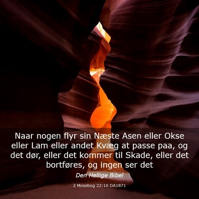 Picture 03 - 2 Mosebog 22:10 DA1871 - Naar nogen flyr sin Næste Asen eller Okse eller - Bible Verse Picture