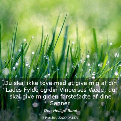 Picture 03 - 2 Mosebog 22:29 DA1871 - Du skal ikke tøve med at give mig af din Lades - Bible Verse Picture