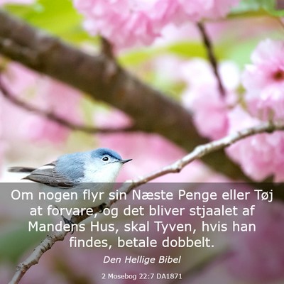 Picture 03 - 2 Mosebog 22:7 DA1871 - Om nogen flyr sin Næste Penge eller Tøj at - Bible Verse Picture