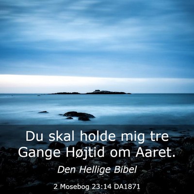 Picture 03 - 2 Mosebog 23:14 DA1871 - Du skal holde mig tre Gange Højtid om - Bible Verse Picture