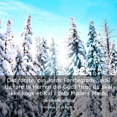 Picture 03 - 2 Mosebog 23:19 DA1871 - Det første, din Jords Førstegrøde, skal du - Bible Verse Picture