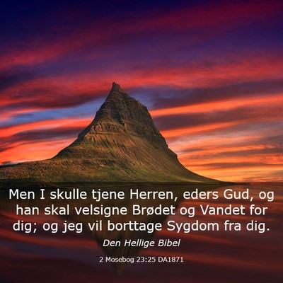 Picture 03 - 2 Mosebog 23:25 DA1871 - Men I skulle tjene Herren, eders Gud, og han skal - Bible Verse Picture