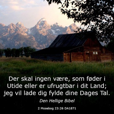 Picture 03 - 2 Mosebog 23:26 DA1871 - Der skal ingen være, som føder i Utide eller er - Bible Verse Picture