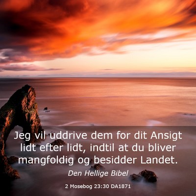 Picture 03 - 2 Mosebog 23:30 DA1871 - Jeg vil uddrive dem for dit Ansigt lidt efter - Bible Verse Picture