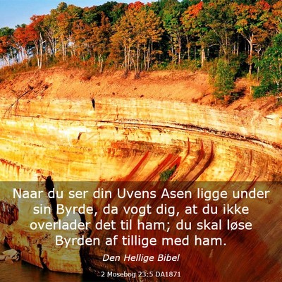 Picture 03 - 2 Mosebog 23:5 DA1871 - Naar du ser din Uvens Asen ligge under sin Byrde, - Bible Verse Picture