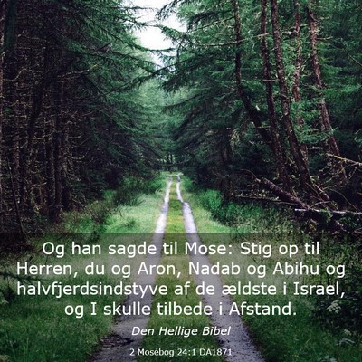 Picture 03 - 2 Mosebog 24:1 DA1871 - Og han sagde til Mose: Stig op til Herren, du og - Bible Verse Picture