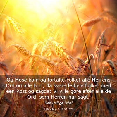 Picture 03 - 2 Mosebog 24:3 DA1871 - Og Mose kom og fortalte Folket alle Herrens Ord - Bible Verse Picture