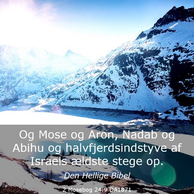 Picture 03 - 2 Mosebog 24:9 DA1871 - Og Mose og Aron, Nadab og Abihu og - Bible Verse Picture