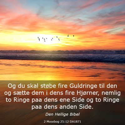 Picture 03 - 2 Mosebog 25:12 DA1871 - Og du skal støbe fire Guldringe til den og - Bible Verse Picture