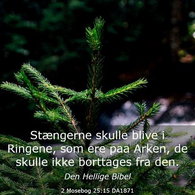 Picture 03 - 2 Mosebog 25:15 DA1871 - Stængerne skulle blive i Ringene, som ere paa - Bible Verse Picture