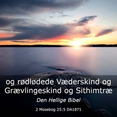 Picture 03 - 2 Mosebog 25:5 DA1871 - og rødlødede Væderskind og Grævlingeskind og - Bible Verse Picture