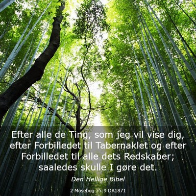 Picture 03 - 2 Mosebog 25:9 DA1871 - Efter alle de Ting, som jeg vil vise dig, efter - Bible Verse Picture
