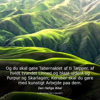 Picture 03 - 2 Mosebog 26:1 DA1871 - Og du skal gøre Tabernaklet af ti Tæpper, af - Bible Verse Picture
