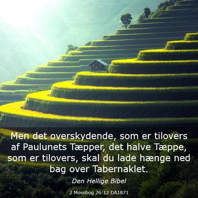 Picture 03 - 2 Mosebog 26:12 DA1871 - Men det overskydende, som er tilovers af - Bible Verse Picture