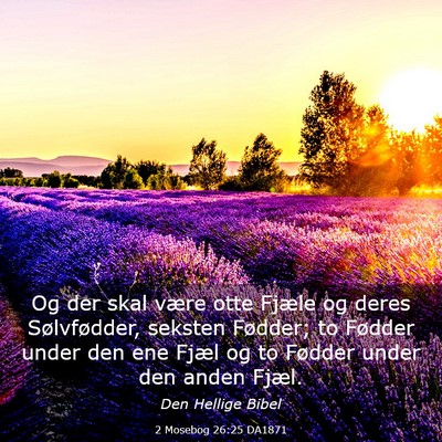 Picture 03 - 2 Mosebog 26:25 DA1871 - Og der skal være otte Fjæle og deres - Bible Verse Picture