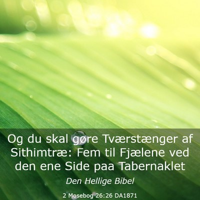 Picture 03 - 2 Mosebog 26:26 DA1871 - Og du skal gøre Tværstænger af Sithimtræ: Fem - Bible Verse Picture