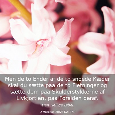 Picture 03 - 2 Mosebog 28:25 DA1871 - Men de to Ender af de to snoede Kæder skal du - Bible Verse Picture