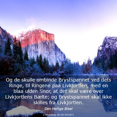 Picture 03 - 2 Mosebog 28:28 DA1871 - Og de skulle ombinde Brystspannet ved dets Ringe, - Bible Verse Picture